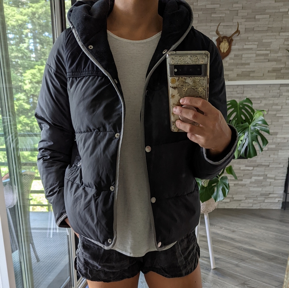 Hollister puffer